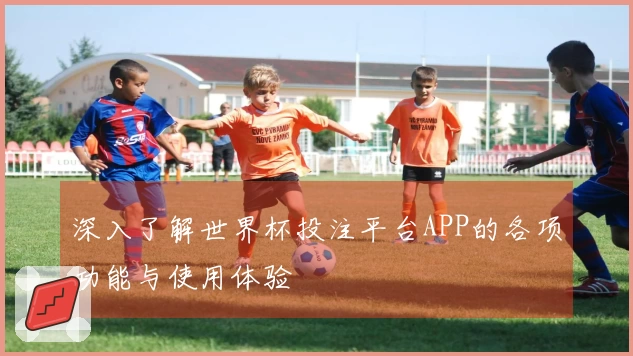 深入了解世界杯投注平台APP的各项功能与使用体验