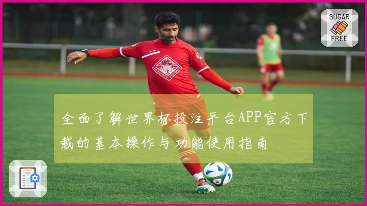 全面了解世界杯投注平台APP官方下载的基本操作与功能使用指南