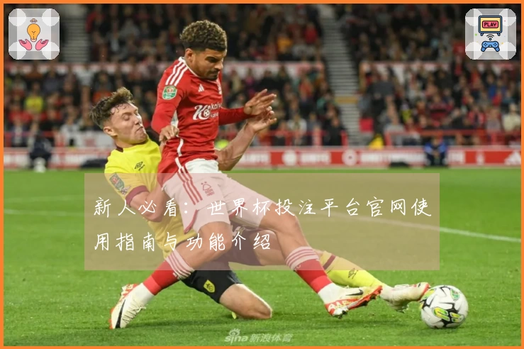 新人必看：世界杯投注平台官网使用指南与功能介绍