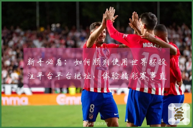 新手必看：如何顺利使用世界杯投注平台平台地址，体验精彩赛事直播