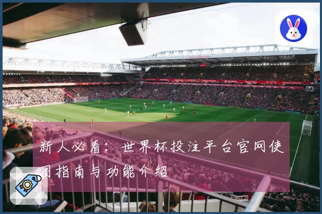 新人必看：世界杯投注平台官网使用指南与功能介绍
