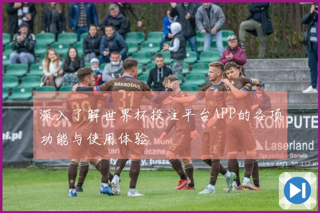 深入了解世界杯投注平台APP的各项功能与使用体验